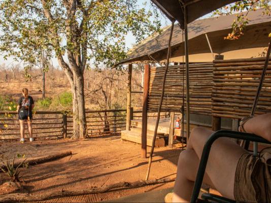 Kingly Conservation Camp - 264855