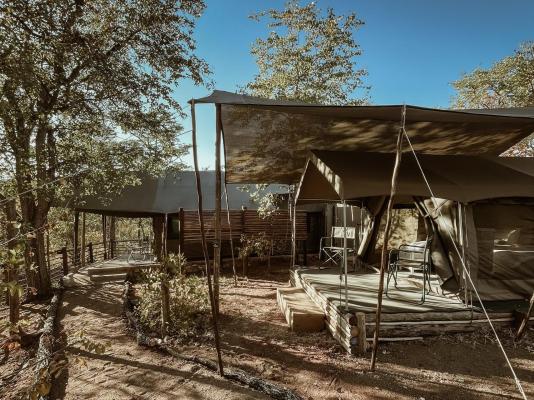 Kingly Conservation Camp - 264857