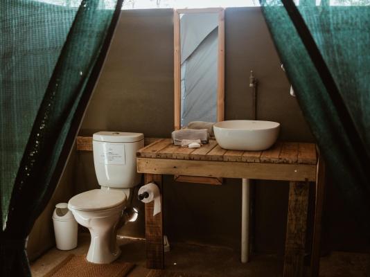 Kingly Conservation Camp - 264859