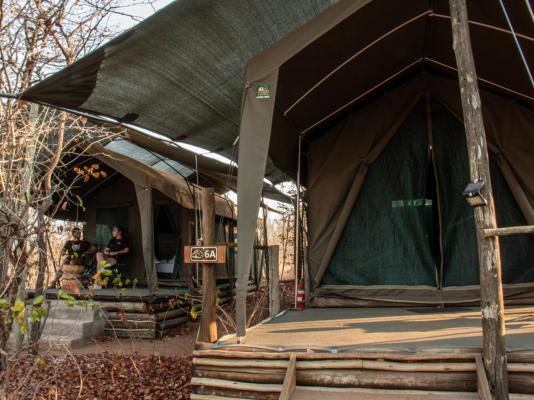 Kingly Conservation Camp - 264860