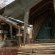 Kingly Conservation Camp - 264860