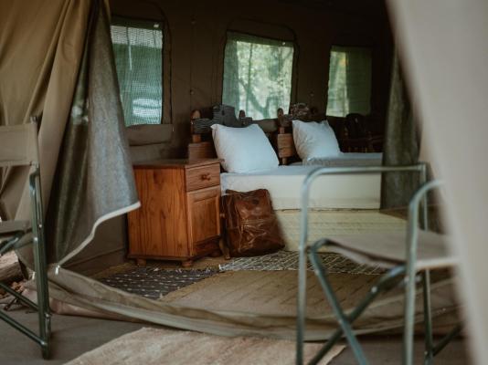 Kingly Conservation Camp - 264861