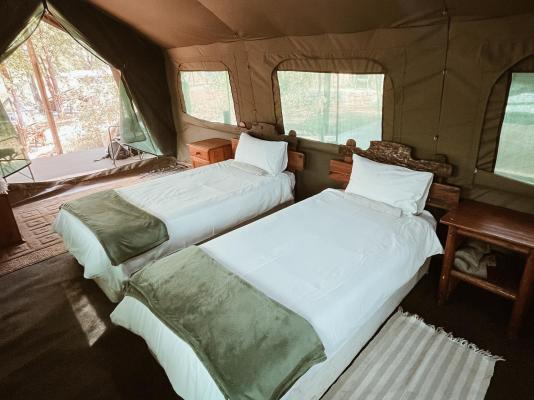Kingly Conservation Camp - 264862