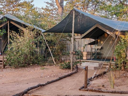 Kingly Conservation Camp - 264865