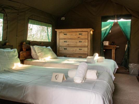Kingly Conservation Camp - 264866