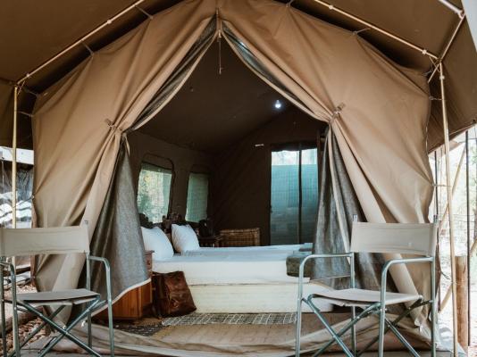 Kingly Conservation Camp - 264867