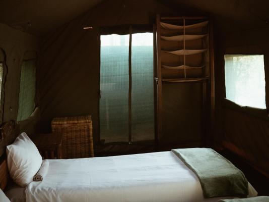 Kingly Conservation Camp - 264869