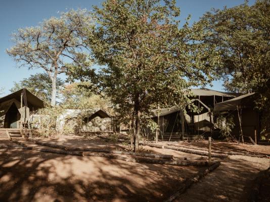 Kingly Conservation Camp - 264870