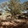 Kingly Conservation Camp - 264870