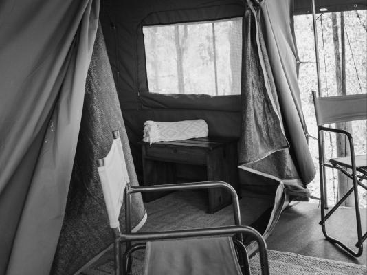 Kingly Conservation Camp - 264873