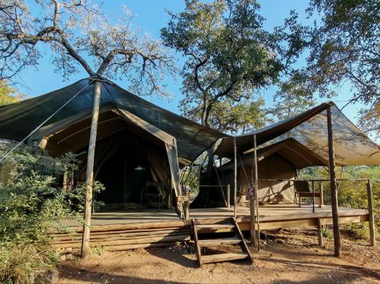 Kingly Conservation Camp - 264874