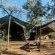 Kingly Conservation Camp - 264874