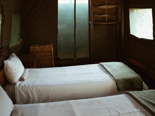Kingly Conservation Camp - 264876