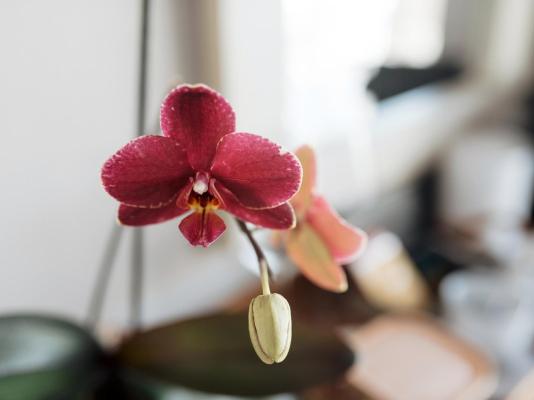Whale Away Guest House - 264956