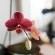 Whale Away Guest House - 264956