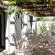 Whale Away Guest House - 264973