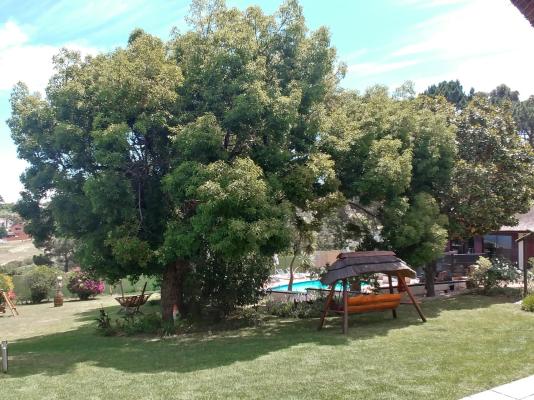 Winelands Villa Guesthouse and Cottages - 265076