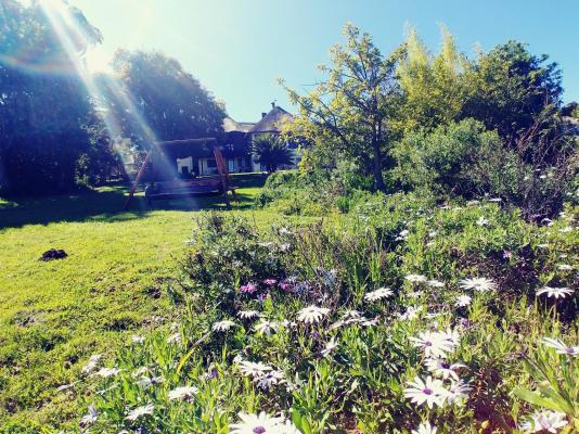 Winelands Villa Guesthouse and Cottages - 265080
