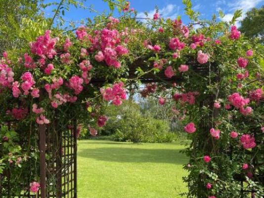 Cherry Berry Lodge - Garden