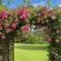 Cherry Berry Lodge - Garden