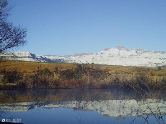 Inkosana Berg Lodge - Pool view