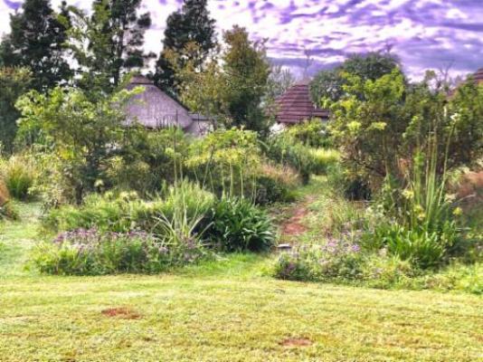 Inkosana Berg Lodge - Garden
