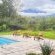 Inkosana Berg Lodge - Mountain view