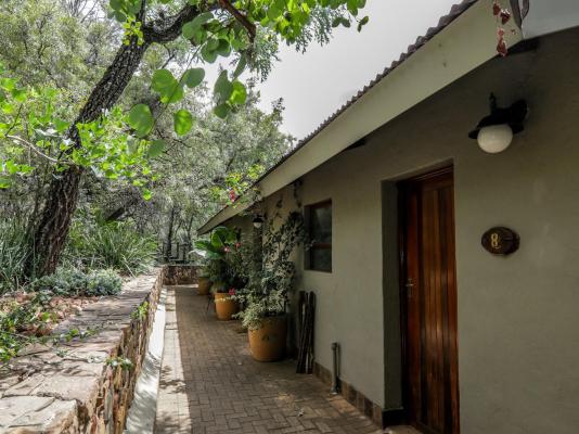 Leopard Lodge - 265559