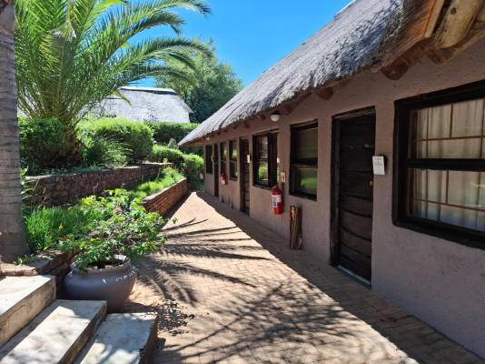 Leopard Lodge - 265575