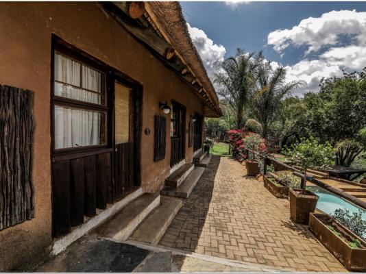 Leopard Lodge - 265579