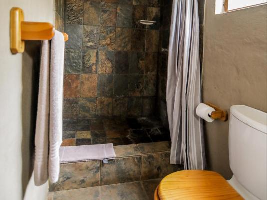 Leopard Lodge - 265586