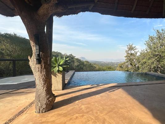 Leopard Lodge - 265593