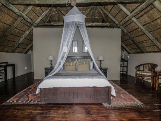 Leopard Lodge - 265599