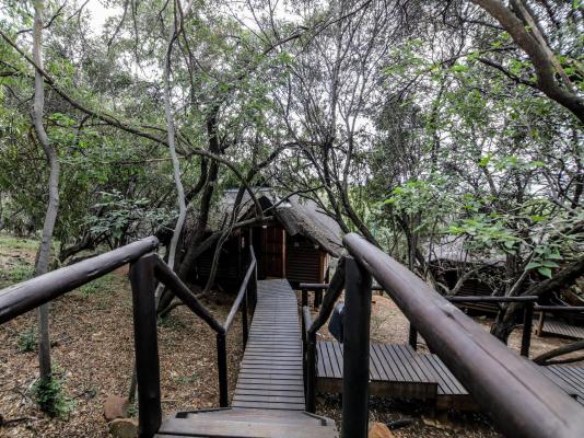 Leopard Lodge - 265600