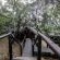 Leopard Lodge - 265600