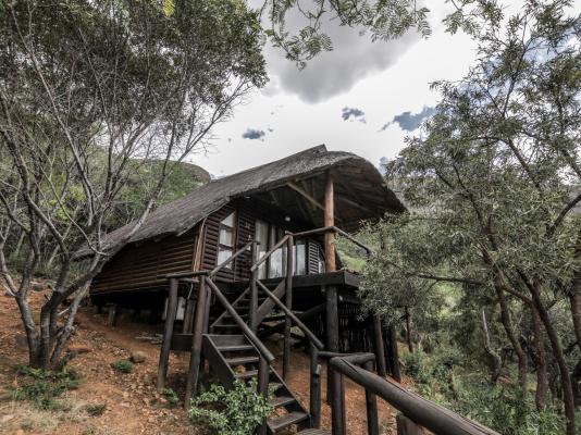 Leopard Lodge - 265601