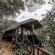 Leopard Lodge - 265601