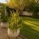 The Walmer Fordyce Collection - 265701