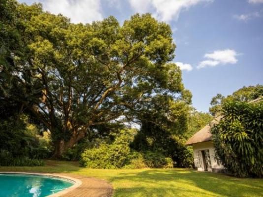 Seringa Lodge & Safaris - Garden