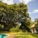 Seringa Lodge & Safaris - Garden