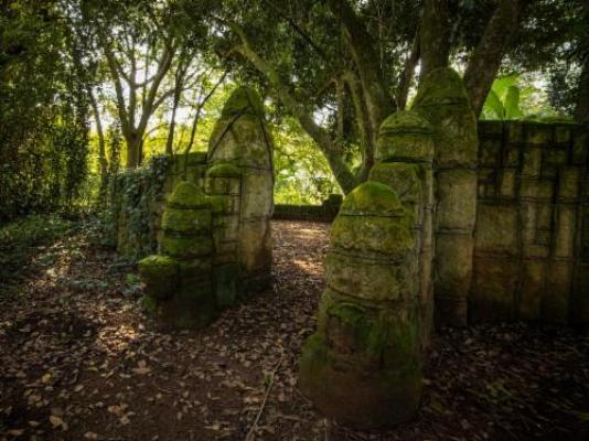 Seringa Lodge & Safaris - Garden