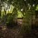 Seringa Lodge & Safaris - Garden