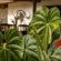 Seringa Lodge & Safaris - Garden