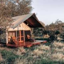 Honeyguide Khoka Moya Camp - 265881