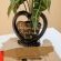 Montrose BnB - Decorative detail