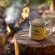 Quatermain's 1920's Safari Camp - 266154