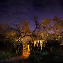 Quatermain's 1920's Safari Camp - 266155