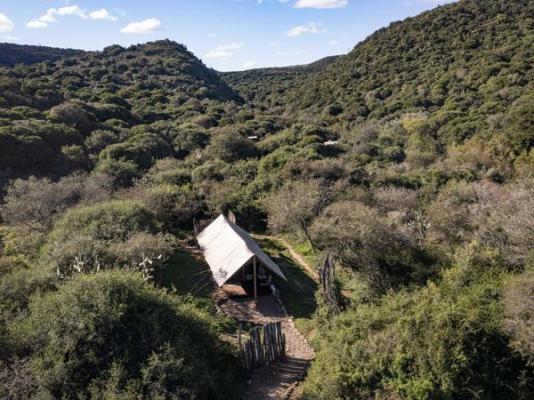 Quatermain's 1920's Safari Camp - 266183