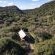Quatermain's 1920's Safari Camp - 266183