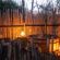 Quatermain's 1920's Safari Camp - 266200
